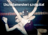 Uszodamester bérlés